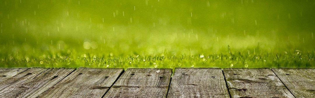 designer graphic buddina sunshine coast